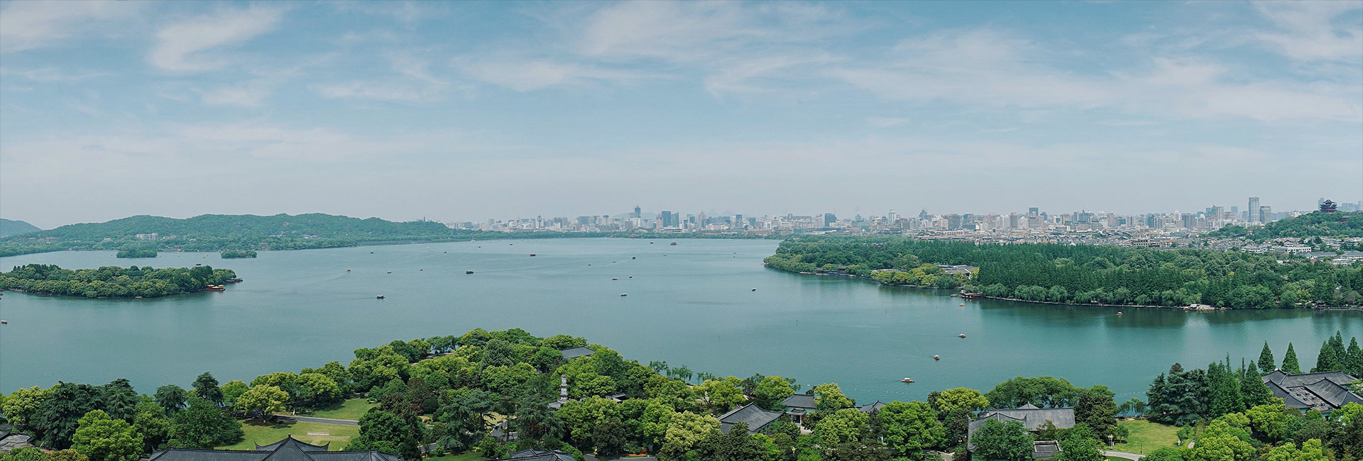 大維高新