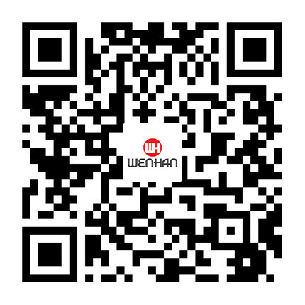 大維高新